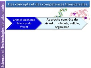 Chimie Biochimie
Sciences du
Vivant
Approche concrète du
vivant : molécule, cellule,
organisme
Mesures et
instrumentation
Esprit critique : juger de la
validité des mesures
Enseignement
technologique en
langue vivante
Pratiquer la langue dans la
discipline choisie
SciencesetTechnologiesdeLaboratoire
 