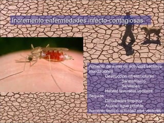 Aumento de áreas de actividad vectores Inundaciones Destrucción infrestructuras  Saneamiento Sanitarias Habitat favorable vectores Sequías Dificultades limpieza Acceso agua potable Aumento tiempo actividad vital vectores Incremento enfermedades infecto-contagiosas 