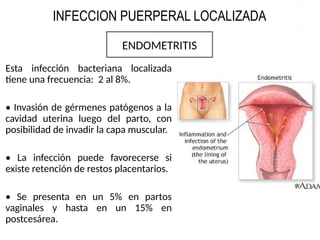INFECCION PUERPERAL LOCALIZADA
Esta infección bacteriana localizada
tiene una frecuencia: 2 al 8%.
• Invasión de gérmenes patógenos a la
cavidad uterina luego del parto, con
posibilidad de invadir la capa muscular.
• La infección puede favorecerse si
existe retención de restos placentarios.
• Se presenta en un 5% en partos
vaginales y hasta en un 15% en
postcesárea.
ENDOMETRITIS
 