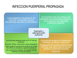 INFECCION PUERPERAL PROPAGADA
 