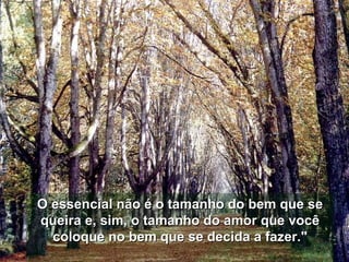 O essencial não é o tamanho do bem que se queira e, sim, o tamanho do amor que você coloque no bem que se decida a fazer.&quot; 