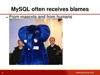 MySQL often receives blames
• From mascots and from humans
4 www.percona.com
 
