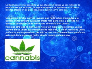 La Marihuana es muy conocida, ya que al pasar el tiempo ya son millones de
personas las que se suman, al ingerir esta planta, la marihuana en si causa
muchos efectos en las personas, que le pueden servir para mal.
Un ejemplo de ello, son los jóvenes que no la saben manipular y la
utilizan como si fuera cualquier chiste más para ellos, y por ello no
obtienen beneficios de la marihuana sino más bien un mal.
Pero por otro lado la marihuana no es tan mala como creemos, ya que
hoy en día se utiliza para tratamientos médicos, que han resultado útiles
y eficaces en las personas, por ello es que la marihuana tiene beneficios,
así como tiene aspectos malos sino le damos un buen uso.
 