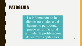 PATOGENIA
La inflamación de los
dientes no vitales o del
ligamento periodontal
puede ser un factor al
estimular la proliferación
de los restos epiteliales 2
 