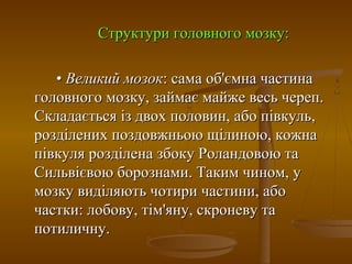 Структури головного мозку:Структури головного мозку:
•• Великий мозокВеликий мозок: сама об'ємна частина: сама об'ємна частина
головного мозку, займає майже весь череп.головного мозку, займає майже весь череп.
Складається із двох половин, або півкуль,Складається із двох половин, або півкуль,
розділених поздовжньою щілиною, кожнарозділених поздовжньою щілиною, кожна
півкуля розділена збоку Роландовою тапівкуля розділена збоку Роландовою та
Сильвієвою борознами. Таким чином, уСильвієвою борознами. Таким чином, у
мозку виділяють чотири частини, абомозку виділяють чотири частини, або
частки: лобову, тім'яну, скроневу тачастки: лобову, тім'яну, скроневу та
потиличну.потиличну.
 