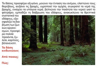 Το δάσος προσφέρει οξυγόνο, μειώνει την ένταση του ανέμου, ελαττώνει τους
θορύβους, αυξάνει τις βροχές, υγροποιεί την ομίχλη, συγκρατεί τα νερά της
βροχής, ενισχύει τα υπόγεια νερά, βελτιώνει την ποιότητα του νερού γιατί το
φιλτράρει, εμποδίζει τη διάβρωση του εδάφους, ανακυκλώνει τα θρεπτικά
συστατικά του
εδάφους, εξα-
σφαλίζει τη δια-
βίωση των ζωι-
κών οργανι-
σμών, προσφέ-
ρει πολλά
προιόντα, ξυ-
λεία, καρπούς,
βότανα κλπ.
Τα δάση
κινδυνεύουν;
Από ποιους;
Πώς;
 