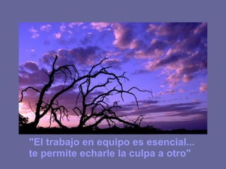 &quot;El trabajo en equipo es esencial... te permite echarle la culpa a otro&quot; 