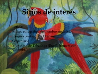 
 Leticia:
 Museo etnográfico del hombre amazónico
 Parques Santander y Orellana
 Serpentario
 Municipio de Tabatinga (Brasil, frontera con
Colombia)
Sitios de interés
 