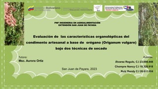Evaluación de las características organolépticas del
condimento artesanal a base de orégano (Origanum vulgare)
bajo dos técnicas de secado
Autores:
Álvarez Regulo, C.I 23.698.448
Chompre Nancy C.I 18.326.918
Ruiz Randy C.I 26.611.004
Tutora:
Msc. Aurora Ortiz
San Juan de Payara, 2023
PNF INGIENERIA EN AGROALIMENTACIÓN
EXTENSIÓN SAN JUAN DE PAYARA
 