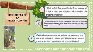 INCÓGNITAS DE
LA
INVESTIGACIÓN
¿Cuál es la influencia del método de secado (al
sol vs. al horno) en el aroma del condimento de
orégano artesanal?
1
¿Existe diferencia en la intensidad del sabor entre el
condimento de orégano artesanal secado al sol y al
horno?
2
¿Existe alguna preferencia por parte de los consumidores en
cuanto al método de secado del condimento de orégano
artesanal en base a sus características organolépticas?
3
 