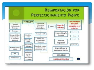 Reimportacion por