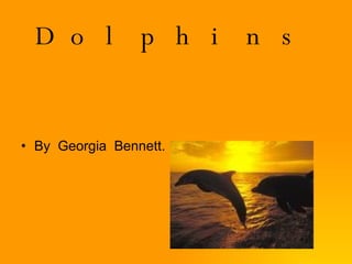 Dolphins By  Georgia  Bennett. 