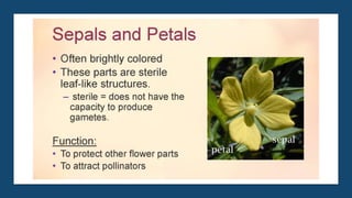 Reproduction of living organisms