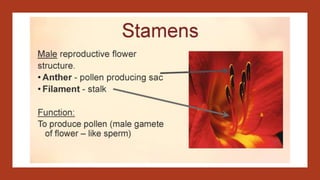 Reproduction of living organisms