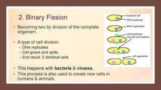 Reproduction of living organisms