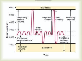 Resp system