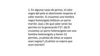 1. En algunas razas de perros, el color
negro del pelo es dominante respecto al
color marrón. Si cruzamos una hembra
negra homocigota (AA)con un perro
marrón. (aa) ¿ De qué color serán los
perritos en la generación F1?. (b) Si
cruzamos un perro heterocigoto con una
hembra heterocigota y tienen 12
perritos, ¿cuántos de éstos se espera
sean negros? ¿Cuántos se espera que
sean marrón?.
 