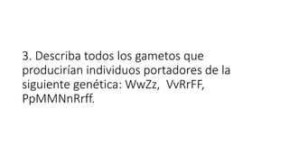3. Describa todos los gametos que
producirían individuos portadores de la
siguiente genética: WwZz, VvRrFF,
PpMMNnRrff.
 
