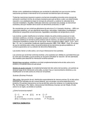 Actúan como catalizadores biológicas que aumentan la velocidad con que ocurren ciertas
reacciones químicas e intervienen en la conversión de distintos tipos de energía.
Todas las reacciones requieren superar una barrera energética conocida como energía de
activación (cantidad mínima de energía necesaria para que se lleve a cabo una determinada
reacción). Los catalizadores bajan la energía de activación y aceleran la velocidad de la
reacción (Catalizan). Aquellas moléculas sobre las cual actúan las enzimas se denominan
sustratos y las que resultan de la acción se denominan productos. S--EàP
Se caracterizan por ser proteínas globulares de estructura 3 o 4 (excepto ribozinas – ARN con
capacidad catalítica), por ser altamente específicas, saturables, inalterables (reutilizables),
eficientes en pequeñas concentraciones, regulables y sensibles a la temperatura y el pH.
Las enzimas pueden clasificarse en enzimas simples (la parte proteica posee por si sola
actividad catalítica) y enzimas conjugadas (poseen una parte no proteica para alcanzar la
actividad catalítica) en donde la parte proteica sola es inactiva y se denomina apoenzima. Los
cofactores enzimáticos pueden ser de dos tipos: Iones inorgánicos (Mg2+, Mn2+, Cu2+, Zn2+,
Na+, Cl-, etc.) y coenzimas (molécula orgánica pequeña: NAD, FAD, NADP, CoA). En el caso
de que la coenzima este unida a la parte proteica se los denomina grupos prostéticos, al
unirse la apoenzima con su cofactor de denomina Holoenzima.
Las enzima tienen un sitio activo, con el que interaccionan los sustratos.
Las uniones que se forman entre las enzimas y los sustratos son débiles lo cual determina que
la unión sea reversible y que la enzima se recupere al finalizar la reacción. Se han planteado
dos modelos para describir la interacción enzima-sustrato:
Modelo llave-cerradura: establece una total complementariedad entre el sitio activo de la
enzima y el sustrato sobre el cual actual.
Modelo de ajuste inducido: la complementariedad del sitio activo de la enzima y el sustrato se
alcanza luego de la interacción entre ellos, es decir hay un reconocimiento dinámico y una
modificación en el sitio activo al unirse con el sustrato.
Sustrato-(Enzima)-Producto
Sitio activo: Agrupación de aá, distribuidos especialmente de manera precisa. En el sitio activo
participan los radicales de aá a veces distante, que convergen una zona específica de la
proteína. El sustrato interacciona con los aá del sitio activo por enlaces no covalentes de tipo
Pte. De hidrógeno, Pte. Salino, interacciones hidrofóbicas y fuerzas van der Waals. El sitio
activo no es rígido, se amolda al sustrato.
¿Cómo funciona la enzima?:
CINETICA ENZIMATICA
 