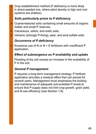 49
4	 Crop establishment method (P deficiency is more likely
in direct-seeded rice, where plant density is high and root
systems are shallow).
Soils particularly prone to P deficiency
4	 Coarse-textured soils containing small amounts of organic
matter and small P reserves.
4	 Calcareous, saline, and sodic soils.
4	 Volcanic (strongly P-fixing), peat, and acid-sulfate soils.
Occurrence of P deficiency
4	 Excessive use of N or N + K fertilizers with insufficient P
application.
Effect of submergence on P availability and uptake
Flooding of dry soil causes an increase in the availability of
P in the soil.
General P management
P requires a long-term management strategy. P fertilizer
application provides a residual effect that can persist for
several years. Management must emphasize the buildup
and maintenance of adequate soil-available P levels to
ensure that P supply does not limit crop growth, grain yield,
and N-use efficiency (see Section 1.8).
 
