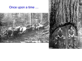 Once upon a time … 
