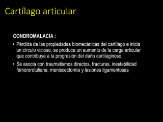 Cartílago articular
CONDROMALACIA :
• Pérdida de las propiedades biomecánicas del cartílago e inicia
un círculo vicioso, se produce un aumento de la carga articular
que contribuye a la progresión del daño cartilaginoso.
• Se asocia con traumatismos directos, fracturas, inestabilidad
fémororotuliana, meniscectomía y lesiones ligamentosas
 