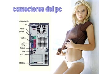 comectores del pc 