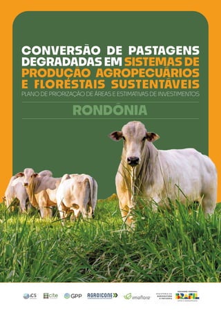 1
CONVERSÃO
DE
PASTAGENS
DEGRADADAS
EM
SISTEMAS
DE
PRODUÇÃO
AGROPECUÁRIOS
E
FLORESTAIS
SUSTENTÁVEIS:
PRIORIZAÇÃO
DE
ÁREAS
E
ESTIMATIVAS
DE
INVESTIMENTOS
RONDÔNIA
 