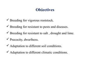 Objectives
 Breeding for vigorous rootstock.
 Breeding for resistant to pests and diseases.
 Breeding for resistant to salt , drought and lime.
 Precocity, dwarfness.
 Adaptation to different soil conditions.
 Adaptation to different climatic conditions.
 