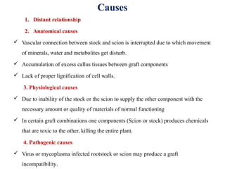 Causes
1. Distant relationship
2. Anatomical causes
 Vascular connection between stock and scion is interrupted due to which movement 
of minerals, water and metabolites get disturb.
 Accumulation of excess callus tissues between graft components
 Lack of proper lignification of cell walls.
3. Physiological causes
 Due to inability of the stock or the scion to supply the other component with the 
necessary amount or quality of materials of normal functioning
 In certain graft combinations one components (Scion or stock) produces chemicals 
that are toxic to the other, killing the entire plant.
4. Pathogenic causes
 Virus or mycoplasma infected rootstock or scion may produce a graft 
incompatibility.
 