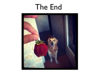 The End
 