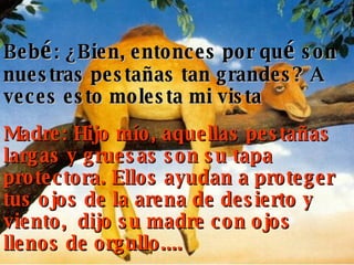 Beb é : ¿Bien, entonces por qu é  son nuestras pestañas tan grandes? A veces esto molesta mi vista   Madre: Hijo mío, aquellas pestañas largas y gruesas son su tapa protectora. Ellos ayudan a proteger tus ojos de la arena de desierto y viento,  dijo su madre con ojos llenos de orgullo....  
