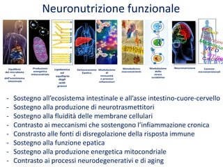 Neuronutrizione funzionale
- Sostegno all’ecosistema intestinale e all’asse intestino-cuore-cervello
- Sostegno alla produzione di neurotrasmettitori
- Sostegno alla fluidità delle membrane cellulari
- Contrasto ai meccanismi che sostengono l’infiammazione cronica
- Constrasto alle fonti di disregolazione della risposta immune
- Sostegno alla funzione epatica
- Sostegno alla produzione energetica mitocondriale
- Contrasto ai processi neurodegenerativi e di aging
 