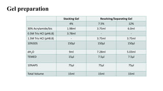 Gel preparation
Stacking Gel Resolving/Separating Gel
4% 7.5% 12%
30% Acrylamide/bis 1.98ml 3.75ml 6.0ml
0.5M Tris HCl (pH6.8) 3.78ml - -
1.5M Tris HCl (pH8.8) - 3.75ml 3.75ml
10%SDS 150µl 150µl 150µl
dH2O 9ml 7.28ml 5.03ml
TEMED 15µl 7.5µl 7.5µl
10%APS 75µl 75µl 75µl
Total Volume 15ml 15ml 15ml
 
