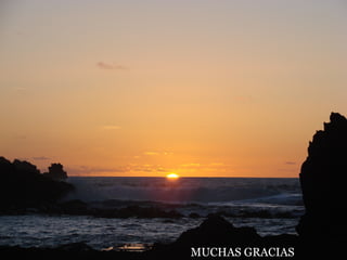 MUCHAS GRACIAS  