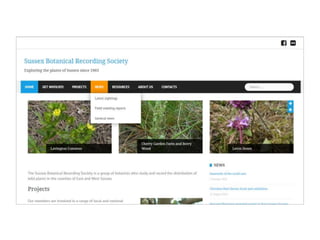 Sussex Botanical Recording Society website