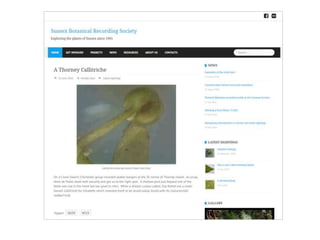 Sussex Botanical Recording Society website