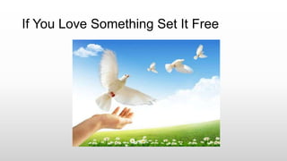 If You Love Something Set It Free
 