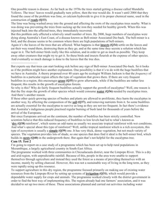 One possible reason is disease. As far back as the 1970s the trees started getting a disease called Mundulla
Yellows. The trees’ leaves would gradually turn yellow, then the tree would die. It wasn’t until 2004 that they
found the cause of the problem was lime, or calcium hydroxide to give it its proper chemical name, used in the
construction of roads (Q33).
The lime was being washed away into the ground and affecting the roots of the eucalyptus trees nearby. What is
was doing was preventing the trees from sucking up the iron they needed for healthy growth. When this was
injected back into the affected trees, they immediately recovered.
But this problem only affected a relatively small number of trees. By 2000, huge numbers of eucalyptus were
dying along Australia’s East Coast, of a disease known as Bell-miner Associated Die-back. The bell-miner is a
bird, and the disease seems to be common where there are high populations of bell-miners.
Again it’s the leaves of the trees that are affected. What happens is that insects (Q34) settle on the leaves and
eat their way round them, destroying them as they go, and at the same time they secrete a solution which has
sugar in it. The bell-miner birds really like this solution, and in order to get as much as possible. They keep
away other creatures that might try to get it. So these birds and insects flourish at the expense of other species.
And eventually so much damage is done to the leaves that the tree dies.
————————–
But experts say that trees can start looking sick before any sign of Bell-miner Associated Die-back. So it looks
as if the problem might have another explanation. One possibility is that it’s to do with the huge bushfires that
we have in Australia. A theory proposed over 40 years ago be ecologist William Jackson is that the frequency of
bushfires in a particular region affects the type of vegetation that grows there. If there are very frequent
bushfires in a region, this encourages grass (Q35) to grow afterwards, while if the bushfires are rather less
frequent, this results in the growth of eucalyptus forests.
So why is this? Why do fairly frequent bushfires actually support the growth of eucalyptus? Well, one reason is
that the fire stops the growth of other species which would consume water (Q36) needed by eucalyptus trees.
And there’s another reason.
If these other quick-growing species of bushes and plants are allowed to proliferate, they harm the eucalyptus in
another way, by affecting the composition of the soil (Q37), and removing nutrients from it. So some bushfires
are actually essential for the eucalyptus to survive as long as they are not too frequent. In fact there’s evidence
that Australia’s indigenous people practised regular burning of bush land for thousands of years before the
arrival of the Europeans.
But since Europeans arrived on the continent, the number of bushfires has been strictly controlled. Now
scientists believe that this reduced frequency of bushfires to low levels had led to what’s known as
‘dry (Q38) rainforest’, which seems an odd name as usually we associate tropical rainforest with wet conditions.
And what’s special about this type of rainforest? Well, unlike tropical rainforest which is a rich ecosystem, this
type of ecosystem is usually a simple (Q39) one. It has very thick, dense vegetation, but not much variety of
species. The vegetation provides lots of shade, so one species that does find it ideal is the bell-miner bird, which
builds its nests (Q40) in the undergrowth there. But again that’s not helpful for the eucalyptus tree.
Cam 15. Test 2
I’m going to report on a case study of a programme which has been set up to help rural populations in
Mozambique, a largely agricultural country in South-East Africa.
The programme worked with three communities in Chicualacuala district, near the Limpopo River. This is a dry
and arid region, with unpredictable rainfall. Because of this, people in the area were unable to support
themselves through agriculture and instead they used the forest as a means of providing themselves with an
income, mainly by selling charcoal. However, this was not a sustainable way of living in the long term, as they
were rapidly using up this resource.
To support agriculture in this dry region, the programme focused primarily on making use of existing water
resources from the Limpopo River by setting up systems of irrigation (Q31), which would provide a
dependable water supply for crops and animals. The programme worked closely with the district government in
order to find the best way of implementing this. The region already had one farmers’ association, and it was
decided to set up two more of these. These associations planned and carried out activities including water
 