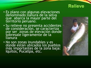 • Es plano con algunas elevaciones
denominado llanura de la selva
que abarca la mayor parte del
territorio peruano.
• Su relieve no presenta accidentes
de consideración, se caracteriza
por ser zonas de elevación donde
sobresale ligeramente de la
llanura
• No son zonas inundables y es
donde están ubicados los pueblos
más importantes de la zona baja:
Iquitos, Pucallpa, etc.
 
