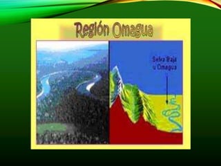 Selva baja 1