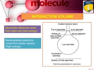 INTERACTION VOLUME
Backscattered electrons
come from whole volume
(high energy)
Secondary electrons come
from neck only (low energy)
 