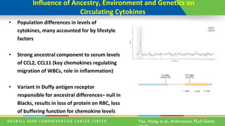 Influence of Ancestry, Environment and Genetics on
Circulating Cytokines
• Population differences in levels of
cytokines, many accounted for by lifestyle
factors
• Strong ancestral component to serum levels
of CCL2, CCL11 (key chemokines regulating
migration of WBCs, role in inflammation)
• Variant in Duffy antigen receptor
responsible for ancestral differences– null in
Blacks, results in loss of protein on RBC, loss
of buffering function for chemokine levels
Yao, Hong, et al., Ambrosone. PLoS Genet
 