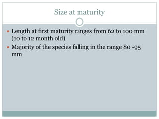 Size at maturity
 Length at first maturity ranges from 62 to 100 mm
(10 to 12 month old)
 Majority of the species falling in the range 80 -95
mm
 