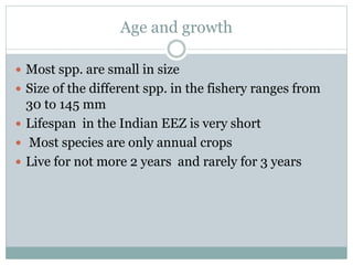 Age and growth
 Most spp. are small in size
 Size of the different spp. in the fishery ranges from
30 to 145 mm
 Lifespan in the Indian EEZ is very short
 Most species are only annual crops
 Live for not more 2 years and rarely for 3 years
 