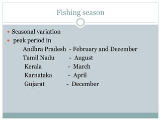 Fishing season
 Seasonal variation
 peak period in
Andhra Pradesh - February and December
Tamil Nadu - August
Kerala - March
Karnataka - April
Gujarat - December
 
