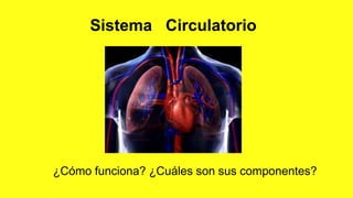 Sistema Circulatorio
¿Cómo funciona? ¿Cuáles son sus componentes?
 
