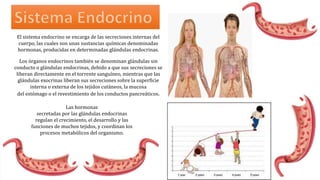 El sistema endocrino se encarga de las secreciones internas del
cuerpo, las cuales son unas sustancias químicas denominadas
hormonas, producidas en determinadas glándulas endocrinas.
Los órganos endocrinos también se denominan glándulas sin
conducto o glándulas endocrinas, debido a que sus secreciones se
liberan directamente en el torrente sanguíneo, mientras que las
glándulas exocrinas liberan sus secreciones sobre la superficie
interna o externa de los tejidos cutáneos, la mucosa
del estómago o el revestimiento de los conductos pancreáticos.
Las hormonas
secretadas por las glándulas endocrinas
regulan el crecimiento, el desarrollo y las
funciones de muchos tejidos, y coordinan los
procesos metabólicos del organismo.
 