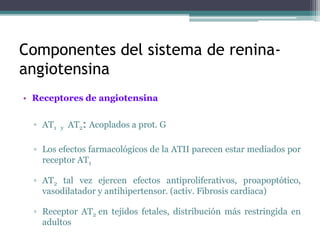 Componentes del sistema de renina-
angiotensina
• Receptores de angiotensina
▫ AT1 y AT2: Acoplados a prot. G
▫ Los efectos farmacológicos de la ATII parecen estar mediados por
receptor AT1
▫ AT2 tal vez ejercen efectos antiproliferativos, proapoptótico,
vasodilatador y antihipertensor. (activ. Fibrosis cardiaca)
▫ Receptor AT2 en tejidos fetales, distribución más restringida en
adultos
 