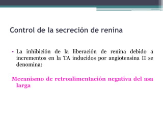 Control de la secreción de renina
• La inhibición de la liberación de renina debido a
incrementos en la TA inducidos por angiotensina II se
denomina:
Mecanismo de retroalimentación negativa del asa
larga
 